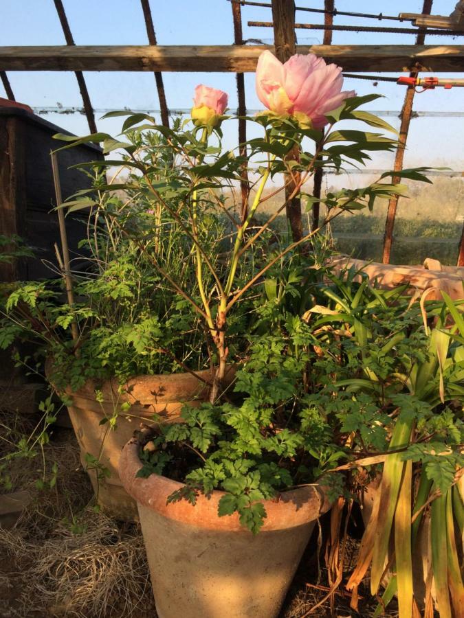 Le Jardin Des Sources Bed & Breakfast La Hulpe Ngoại thất bức ảnh